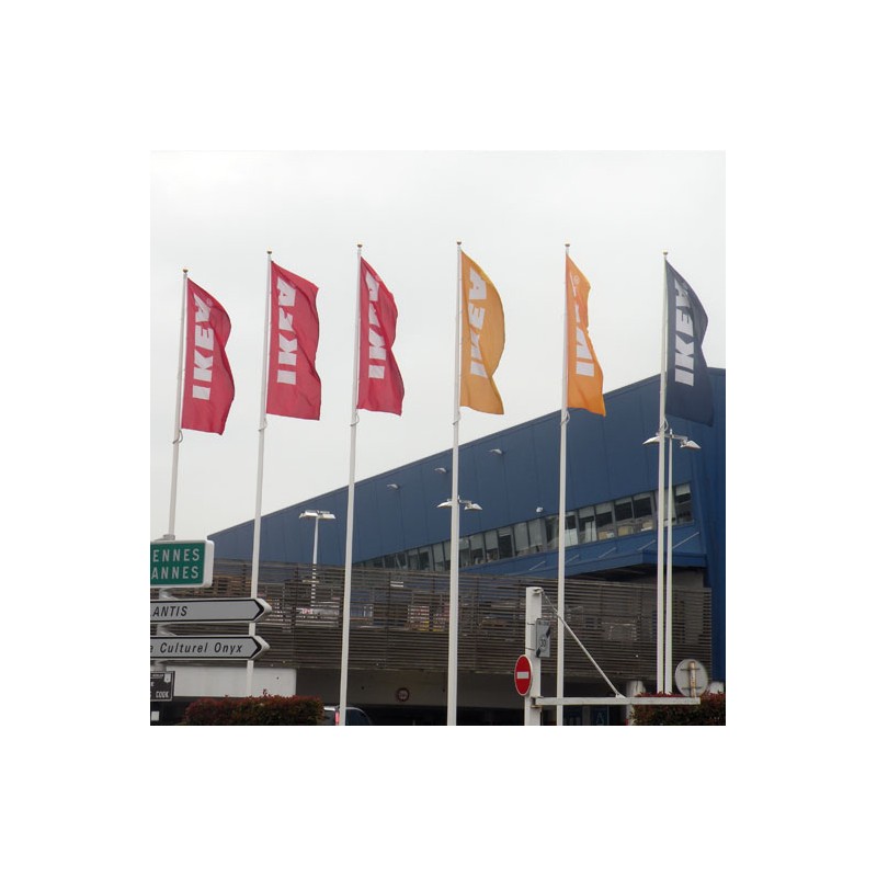 Mât antivol en fibre de verre avec pommeau doré