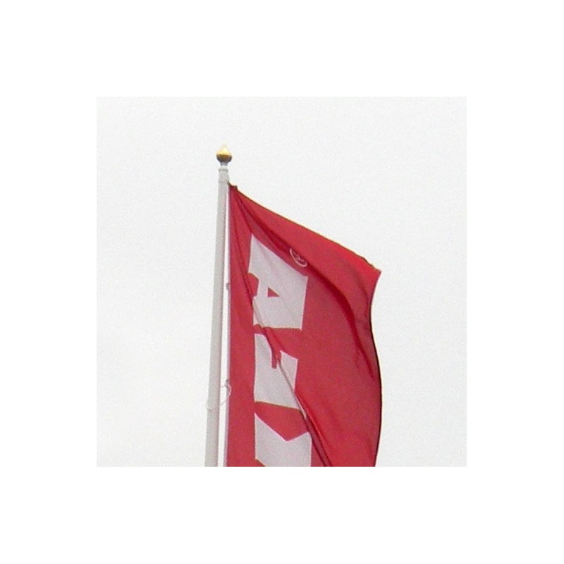 Mât antivol en fibre de verre avec pommeau doré