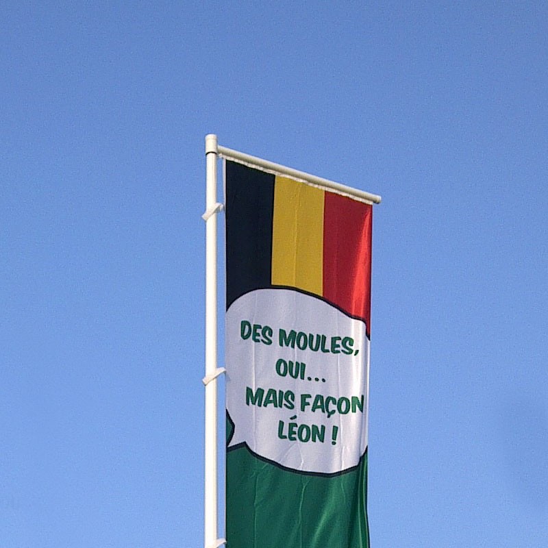 Mât en fibre de verre avec potence rotative