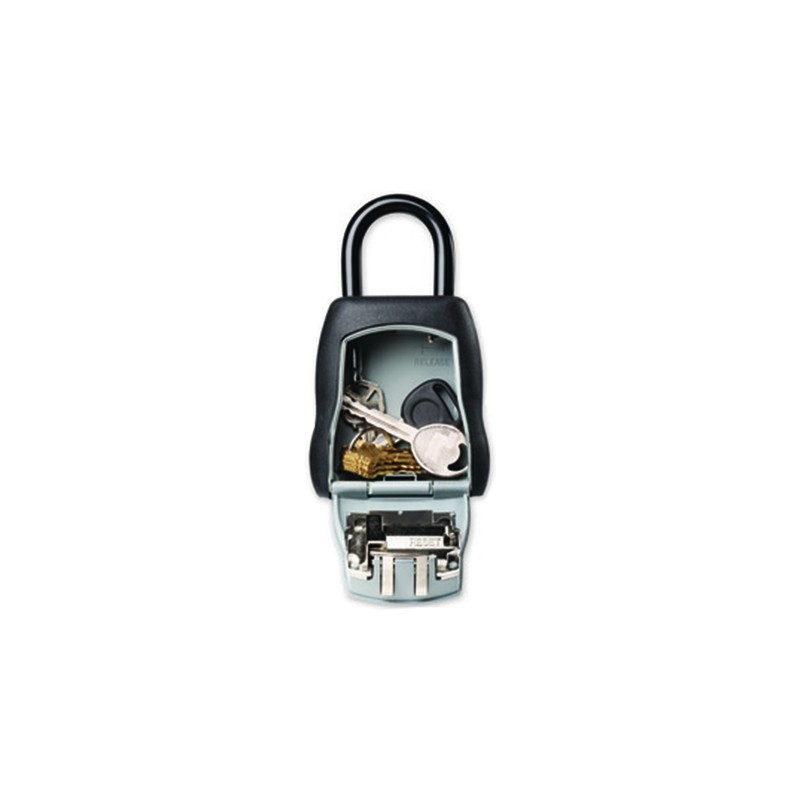 Master Lock Select Access