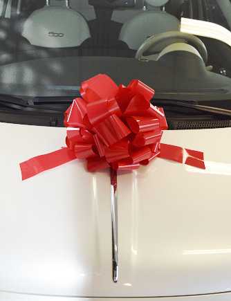 Nœud cadeau 35 cm, réutilisable