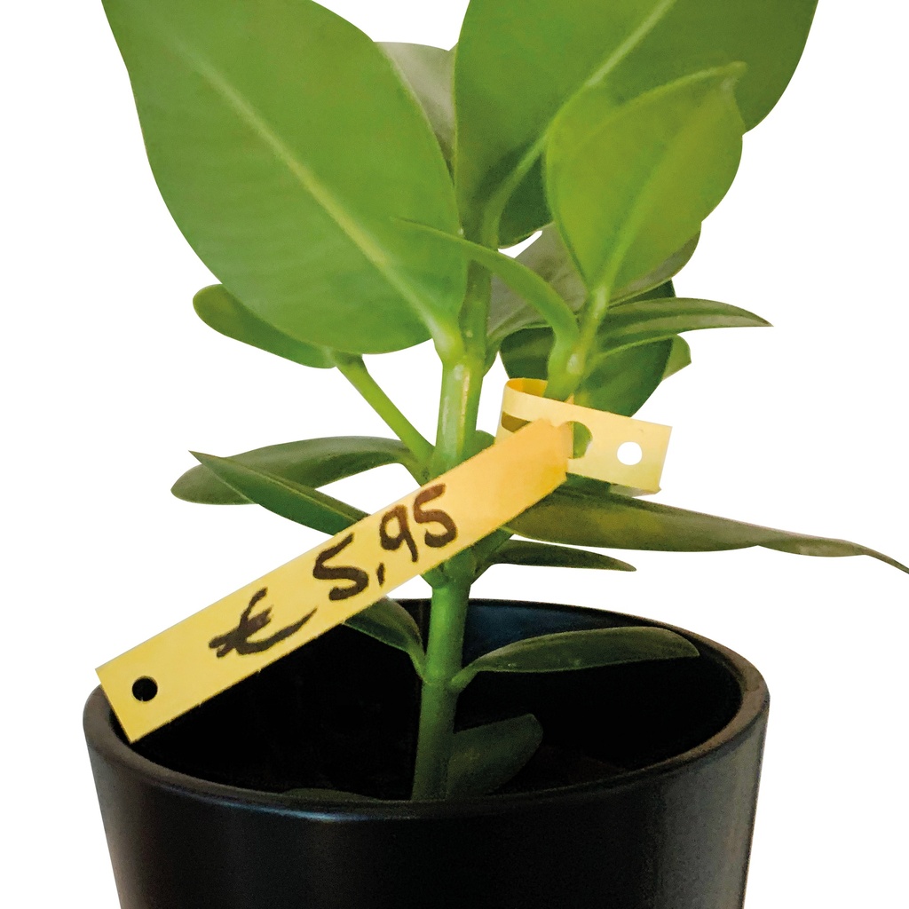 Étiquettes de clés "Bou-Clé" x1000