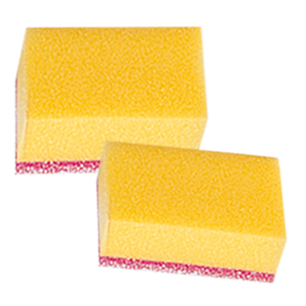 Éponges à moustiques/mouches x5