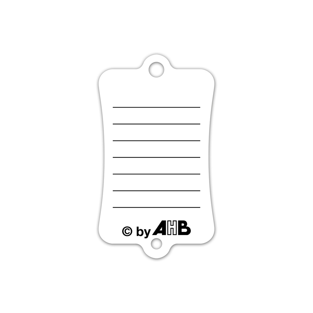 Key Label 300 sleutellabels x100