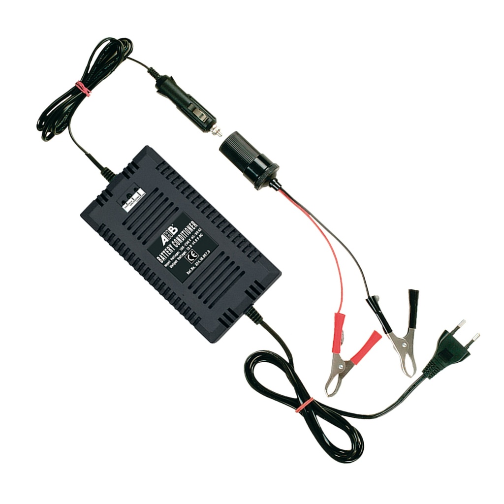 Chargeur Automatique Batterie