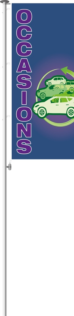 Occasions vlag 200 x 95 cm - Vigo