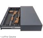 Gunsafe Gesine