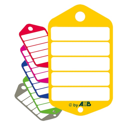 Herbruikbare sleutellabels 70 x 40 mm x100