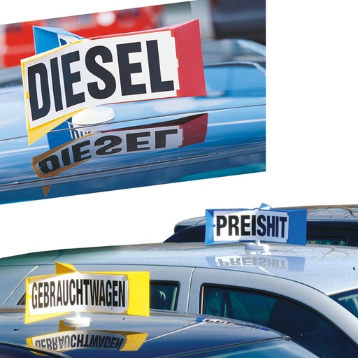 Panneau de toit Roto