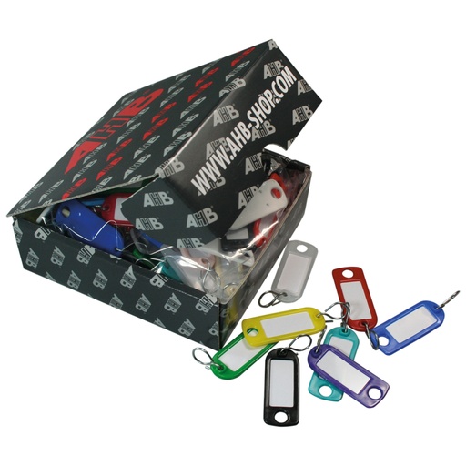 [434090130] Porte-clés "Colorline" x100