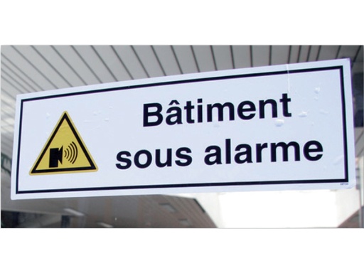 [210150] Adhesif Vitrine Bat Sous Alarme 300 X 110 Mm