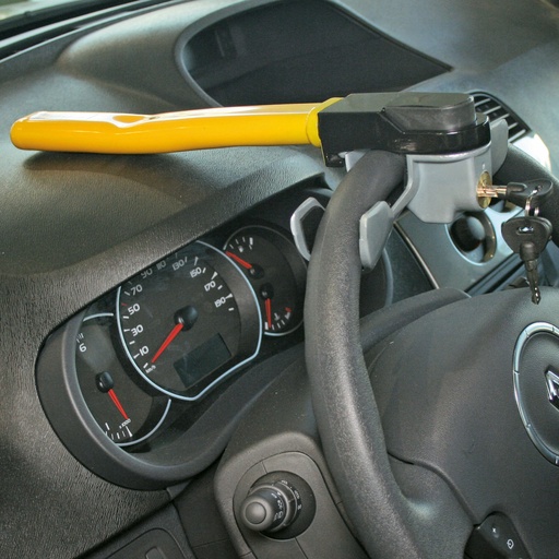 [440021030] Canne antivol volant